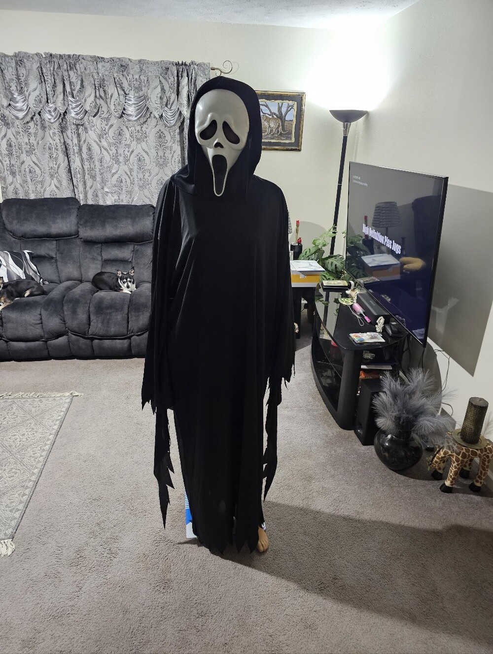 Black Ghost Face Costume with Hooded Mask